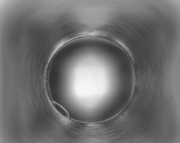 X0000062691483200512211422