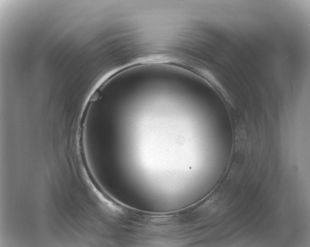 X0000062691484200512211422
