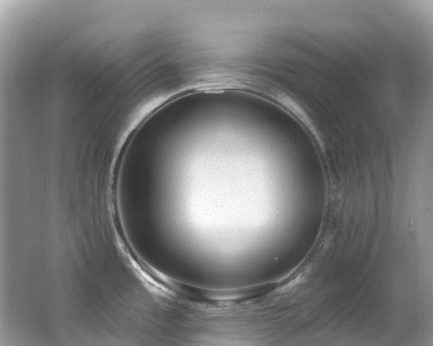 X0000062691485200512211422