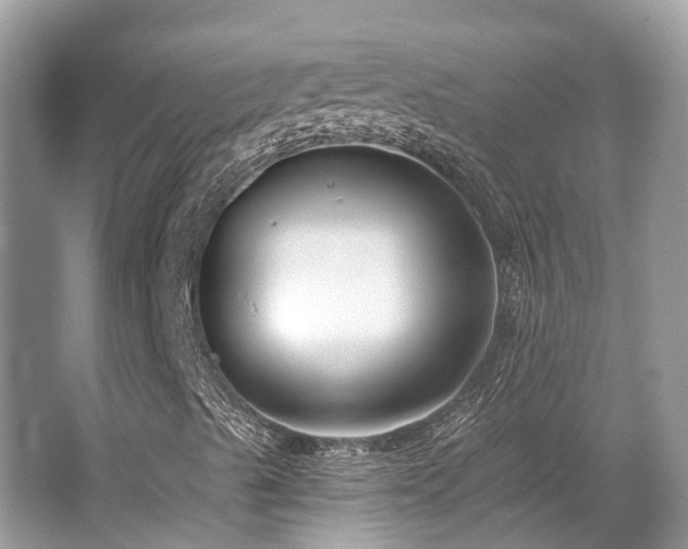 X0000062691489200512211421