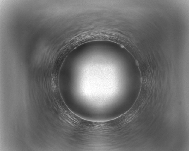 X0000062691490200512211421