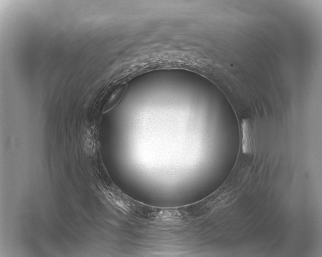 X0000062691491200512211421