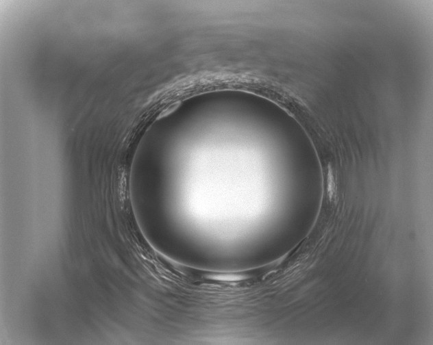 X0000062691492200512211421