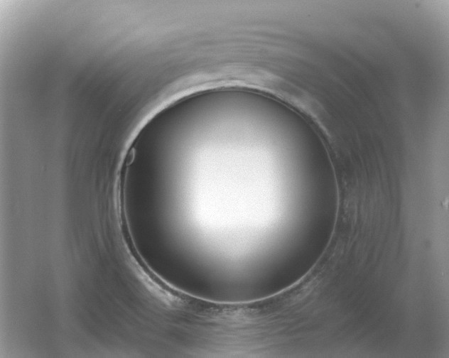 X0000062691516200512211422