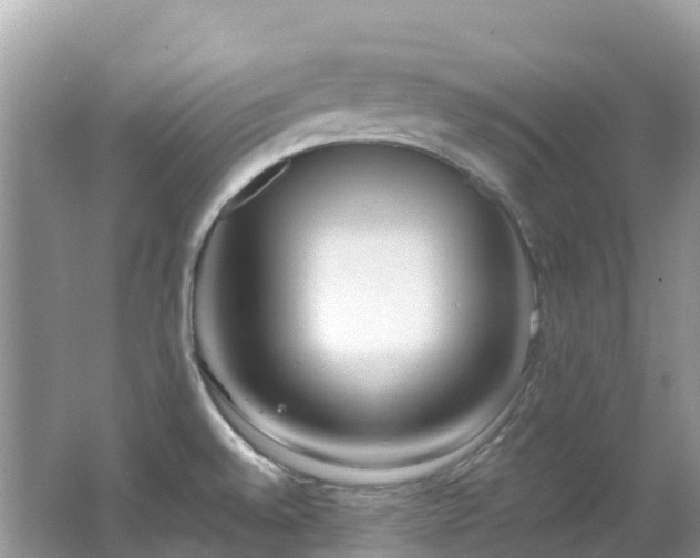 X0000062691528200512211422