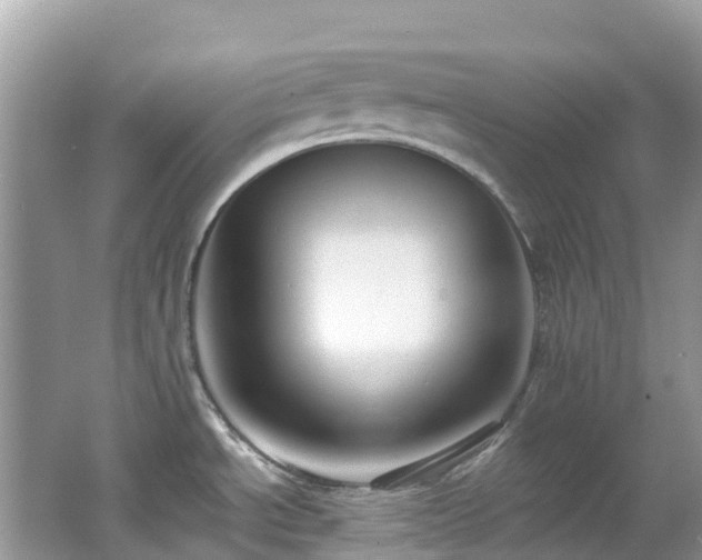 X0000062691534200512211422