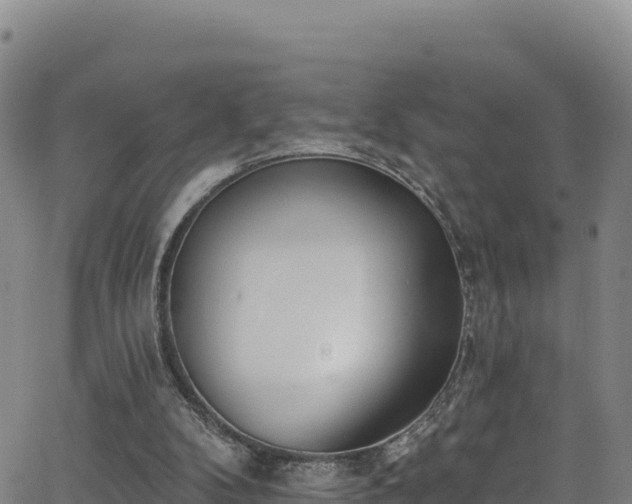 X0000062690104200512231048