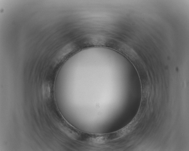 X0000062690120200512231048