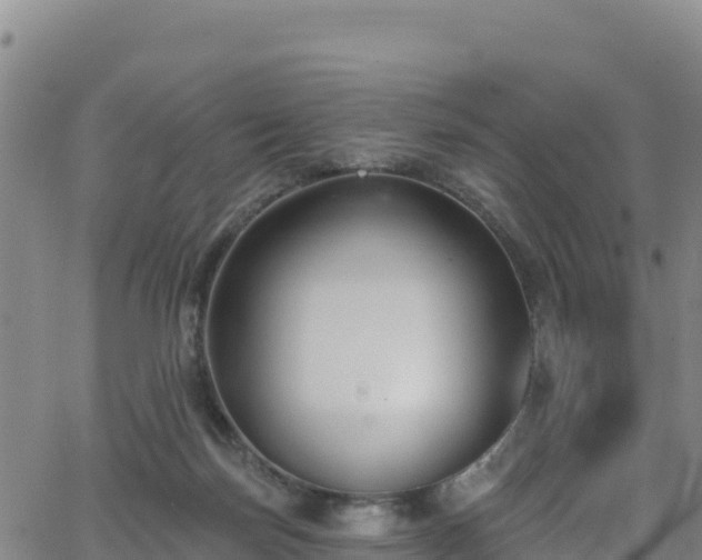 X0000062690171200512231047