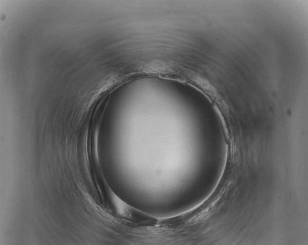 X0000062690201200512231046