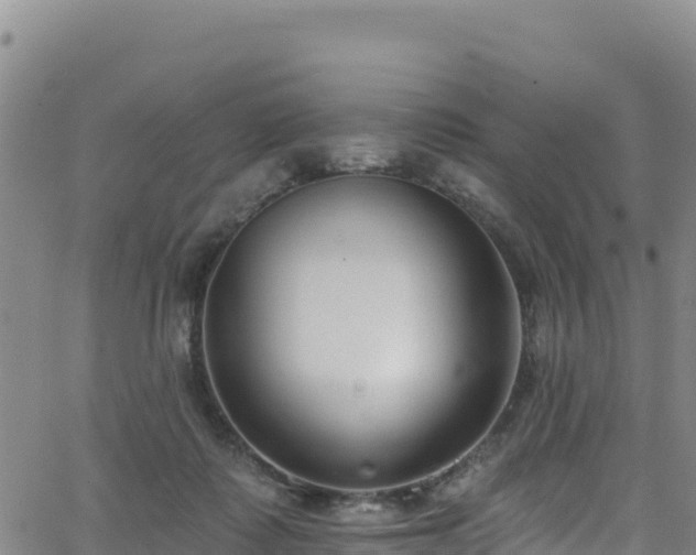 X0000062690315200512231044