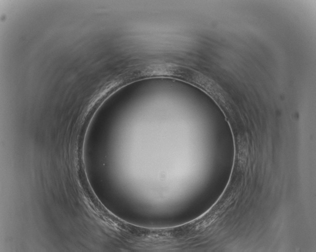 X0000062690386200512231043
