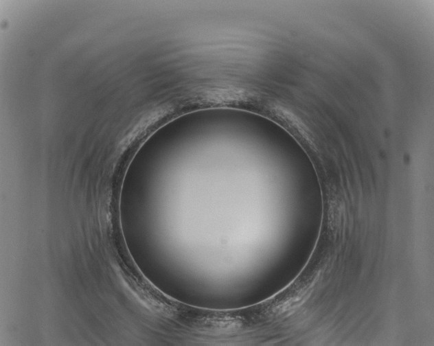 X0000062690443200512231042