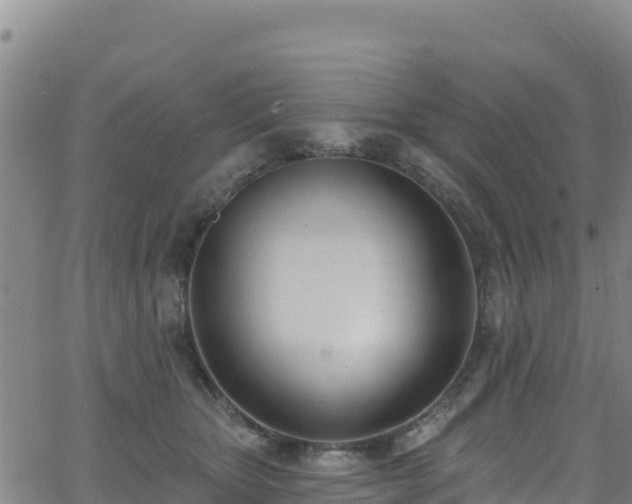 X0000062690467200512231042