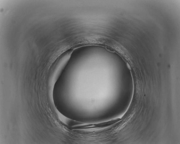 X0000062690481200512231042