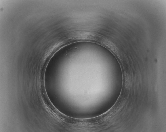 X0000062690482200512231042
