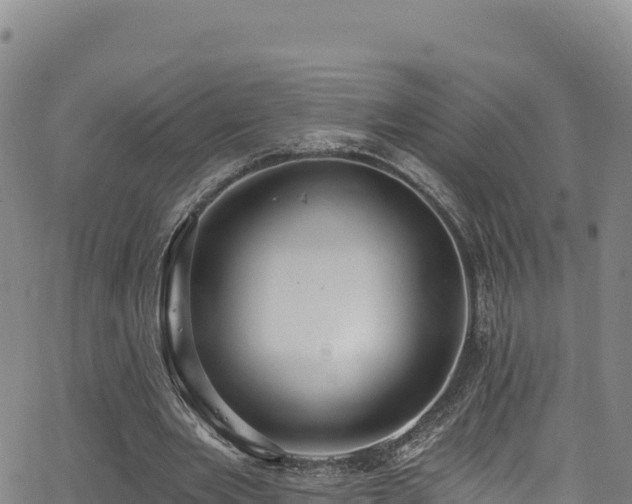 X0000062690485200512231042