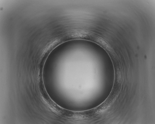X0000062690490200512231041