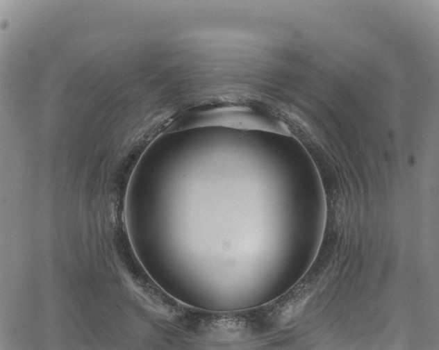 X0000062690546200512231040