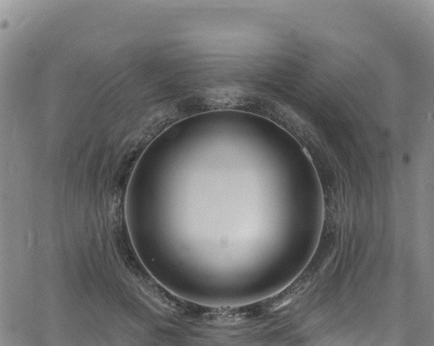 X0000062690601200512231040