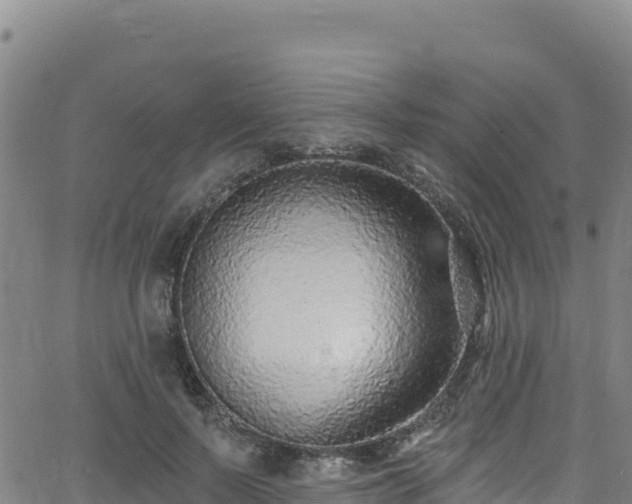 X0000062690695200512231038
