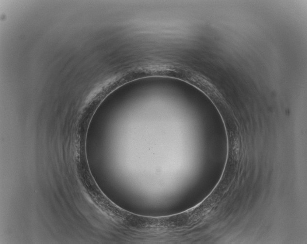 X0000062690732200512231037