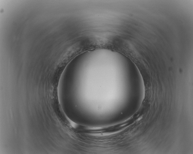 X0000062690750200512231037