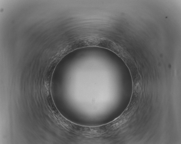 X0000062690772200512231037