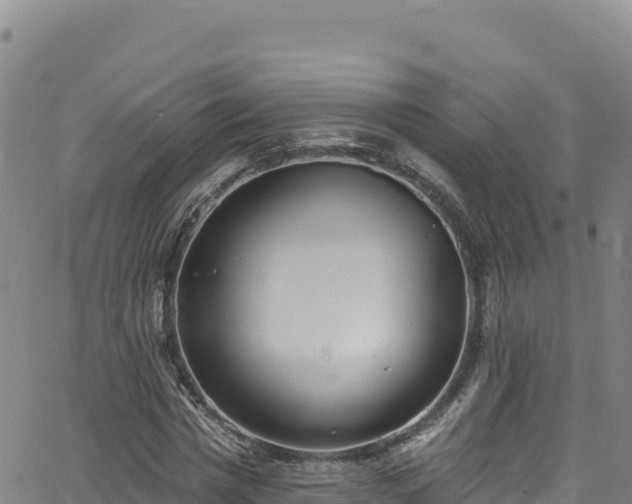 X0000062690777200512231037