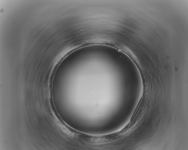X0000062690795200512231036