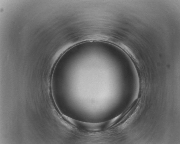 X0000062690854200512231036