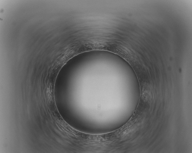 X0000062690866200512231035