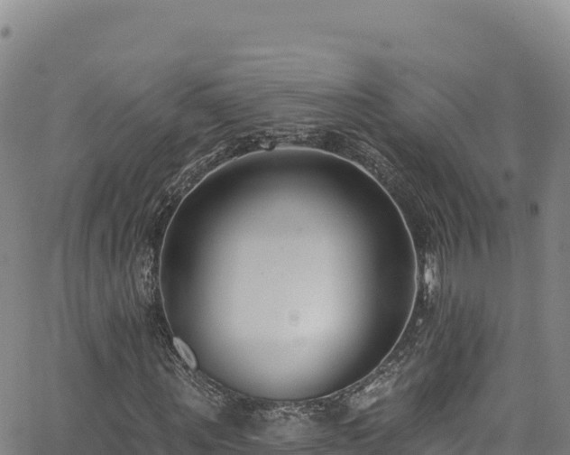 X0000062690867200512231035