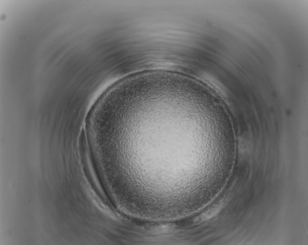 X0000062690891200512231035