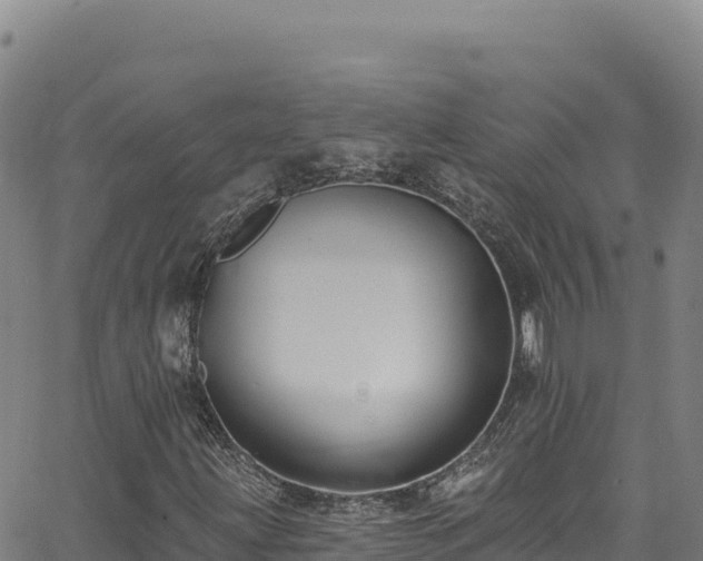X0000062691203200512231029