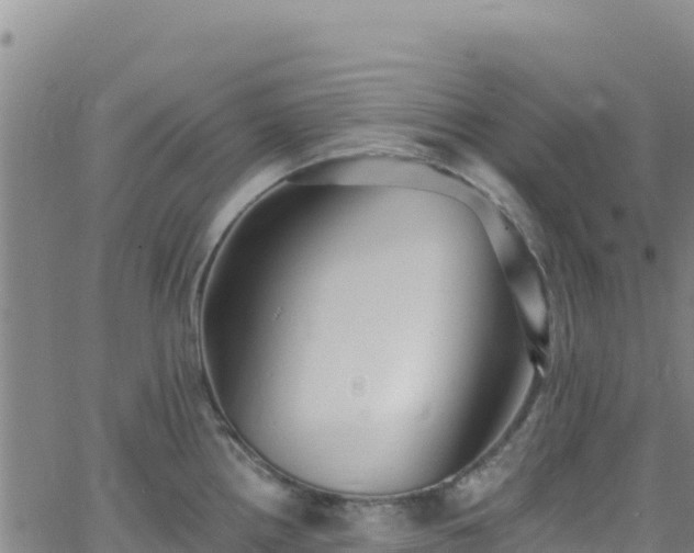 X0000062691242200512231029