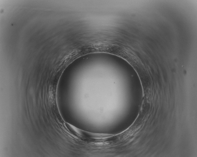 X0000062691298200512231027