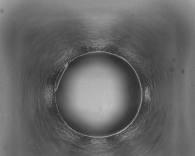 X0000062691299200512231027