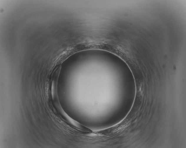 X0000062691348200512231027