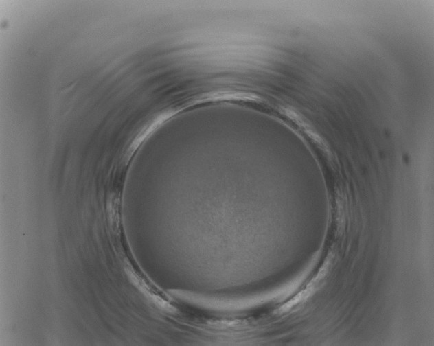 X0000062691369200512231027