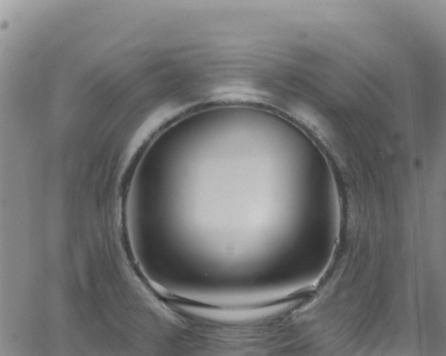 X0000062691376200512231027