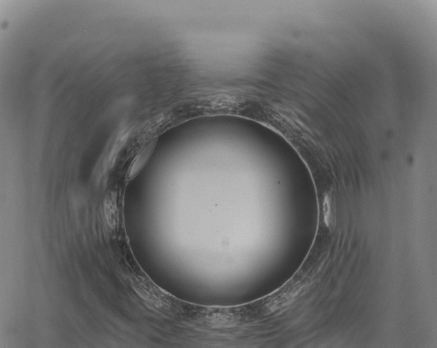 X0000062691395200512231026