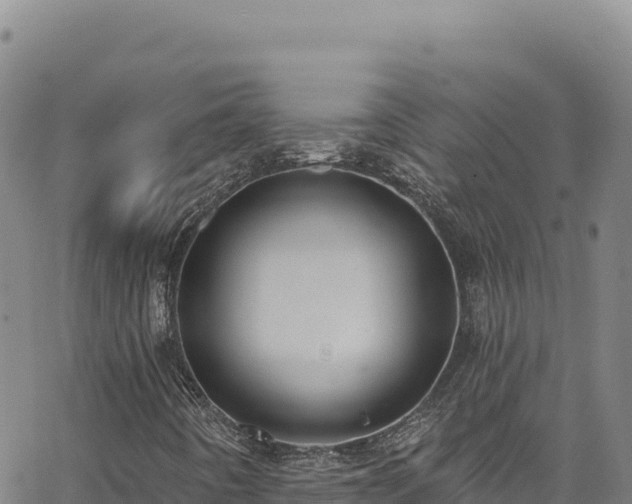 X0000062691442200512231026