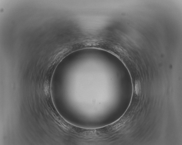 X0000062691444200512231026