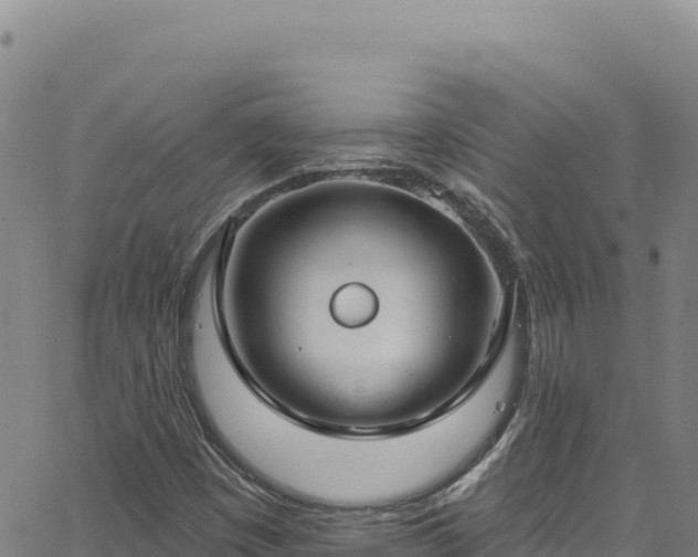 X0000062691449200512231026