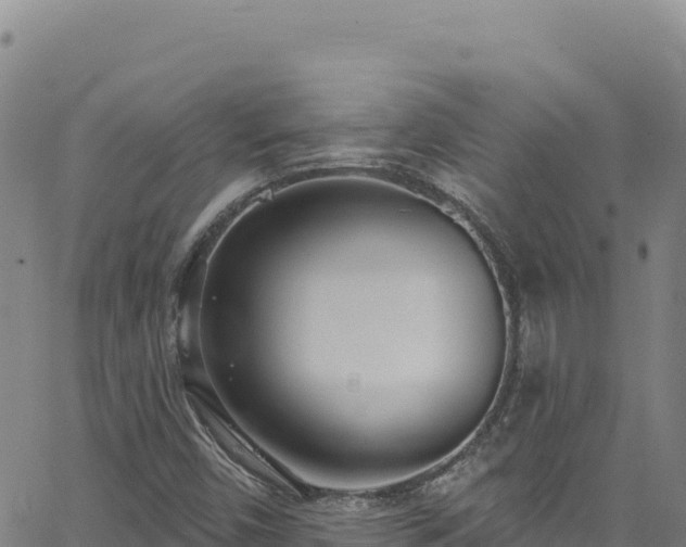 X0000062691450200512231025