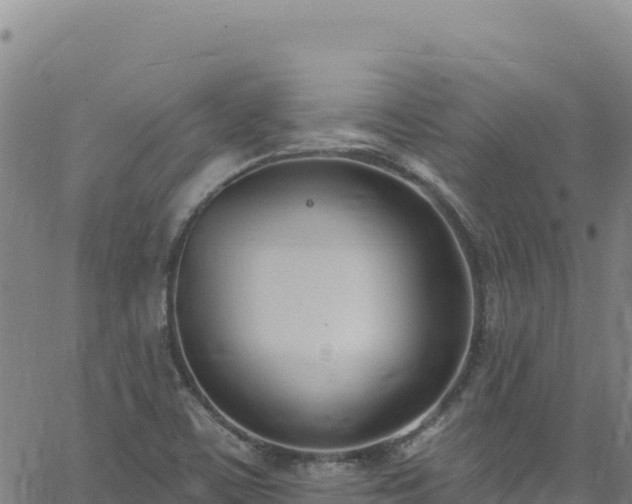 X0000062691459200512231025