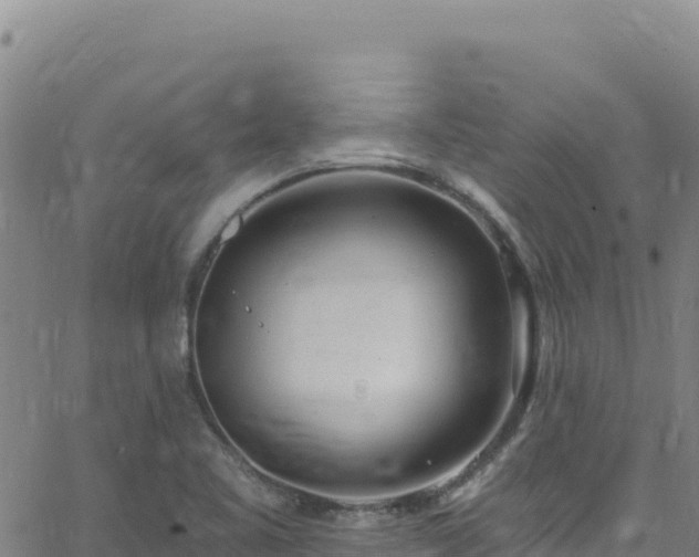 X0000062691461200512231025