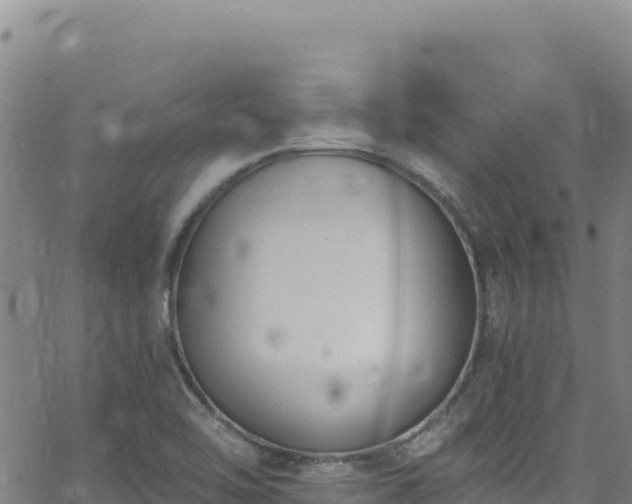 X0000062691462200512231025