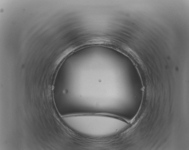 X0000062691465200512231025